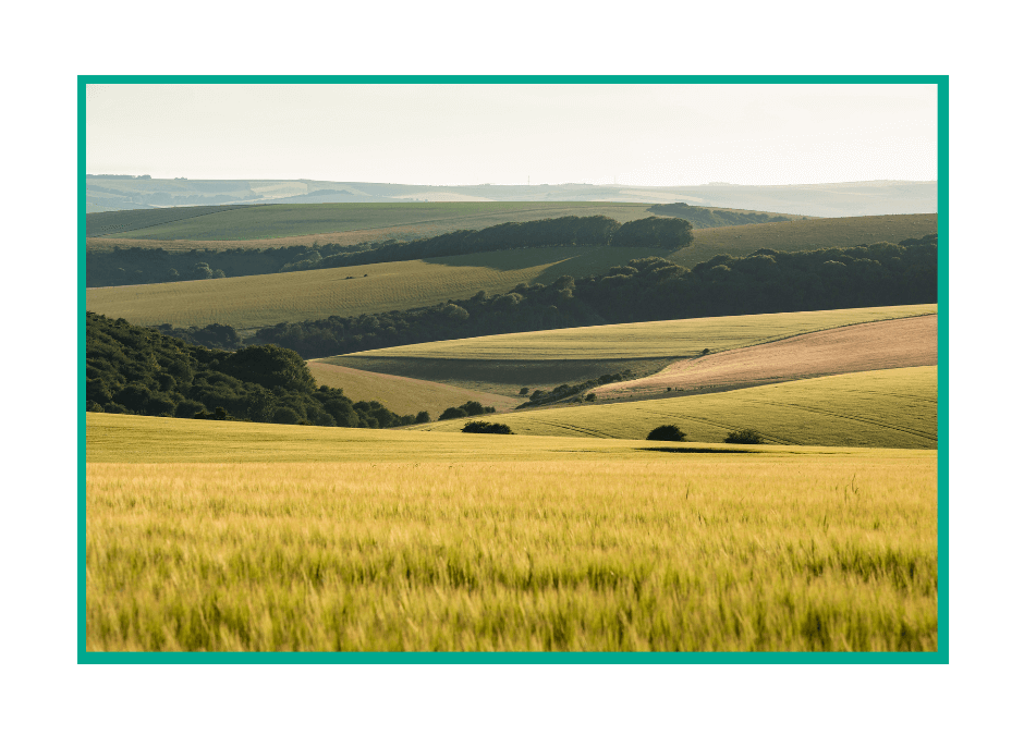 Green Belt Viability